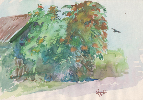 portfolio_gal/Aquarelle/Rowan trees.jpg